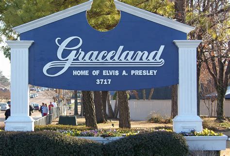 cartoonhd graceland